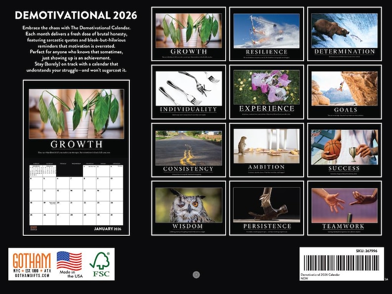 Demotivational Calendar 2026 Demotivation Monthly Wall Calender 12 Month | American Made In The USA immagine 2