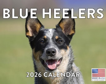 Blue Heeler Calendar 2026 Monthly Wall Calender 12 Month | American Made In The USA