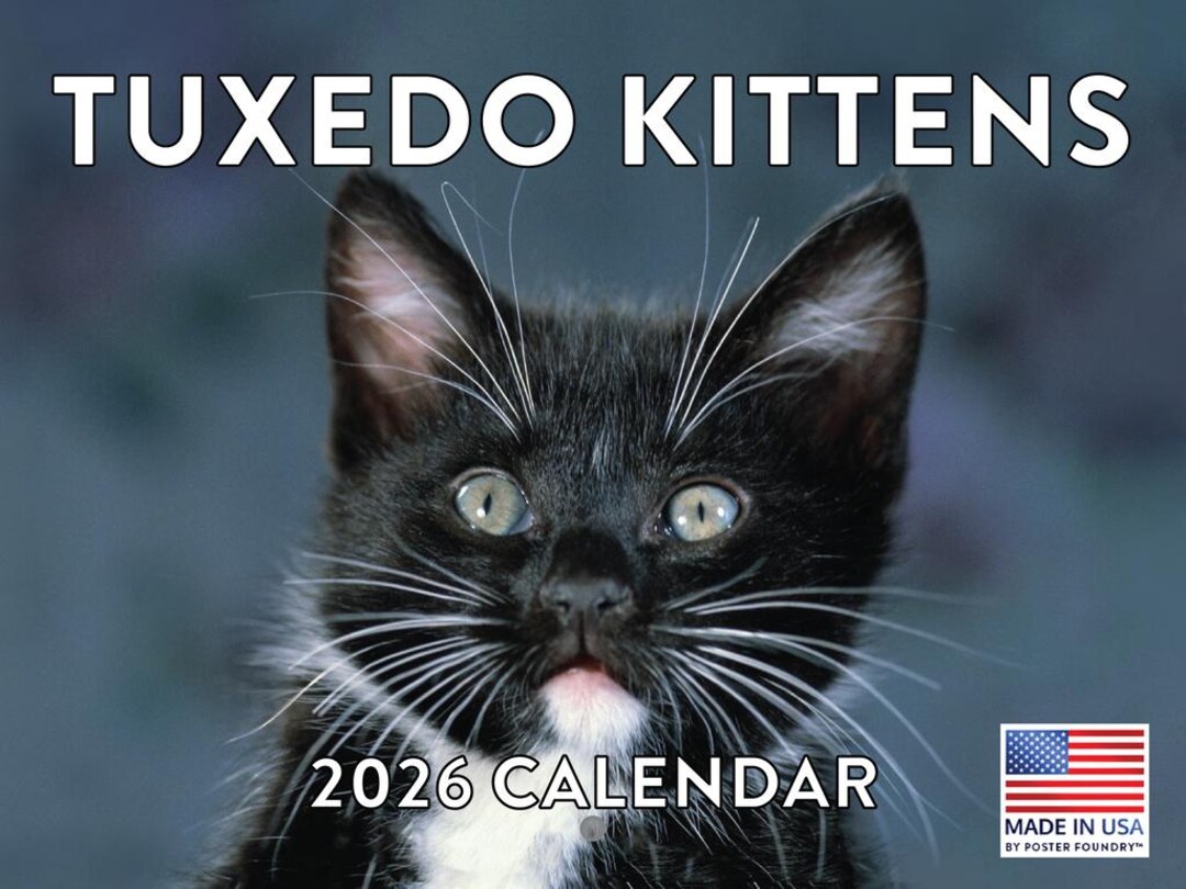 Tuxedo Kitten Calendar 2026 Monthly Wall Calender 12 Month | American ...