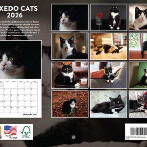 Tuxedo Cat Calendar 2026 Monthly Wall Calender 12 Month | American Made ...