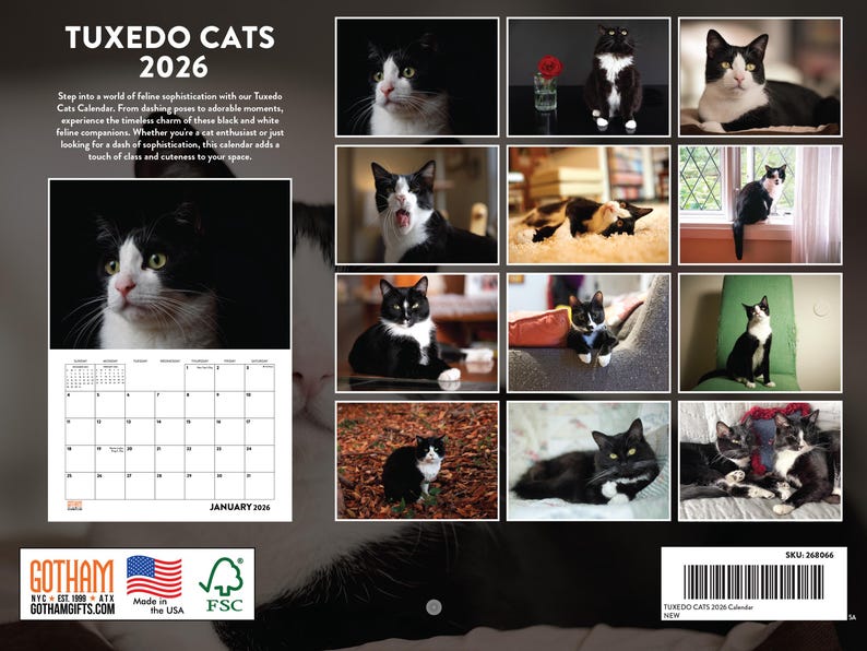 Tuxedo Cat Calendar 2026 Monthly Wall Calender 12 Month | American Made ...