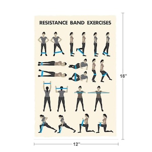 Resistance Band Workout Poster, Home Gym Exercise Chart (12x18) image 2