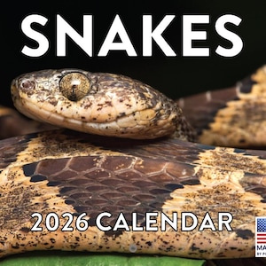 May include: A 2026 calendar featuring a close-up of a snake's head and body. The word "SNAKES" is in large white letters at the top. The calendar has a brown and tan color scheme, with the text "2026 CALENDAR" at the bottom.