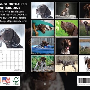 Calendario 2026 del Braco Alemán de Pelo Corto / Calendario mensual de pared del Braco Alemán de Pelo Corto imagen 2