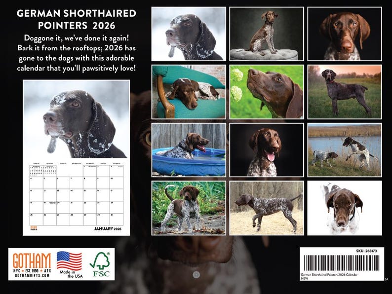 Calendario 2026 del Braco Alemán de Pelo Corto / Calendario mensual de pared del Braco Alemán de Pelo Corto imagen 2
