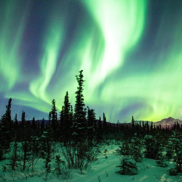 Northern Lights or Aurora Borealis Alaska Photo Art Print Poster