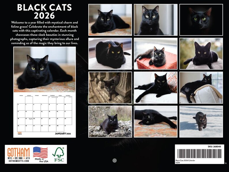 Black Cat Calendar 2026 Monthly Wall Calender 12 Month | American Made ...