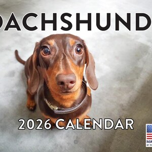 May include: A 2026 calendar featuring a close-up of a brown and tan dachshund dog with a collar. The word "DACHSHUNDS" is at the top, and "2026 CALENDAR" is at the bottom. The American flag is in the bottom right corner.
