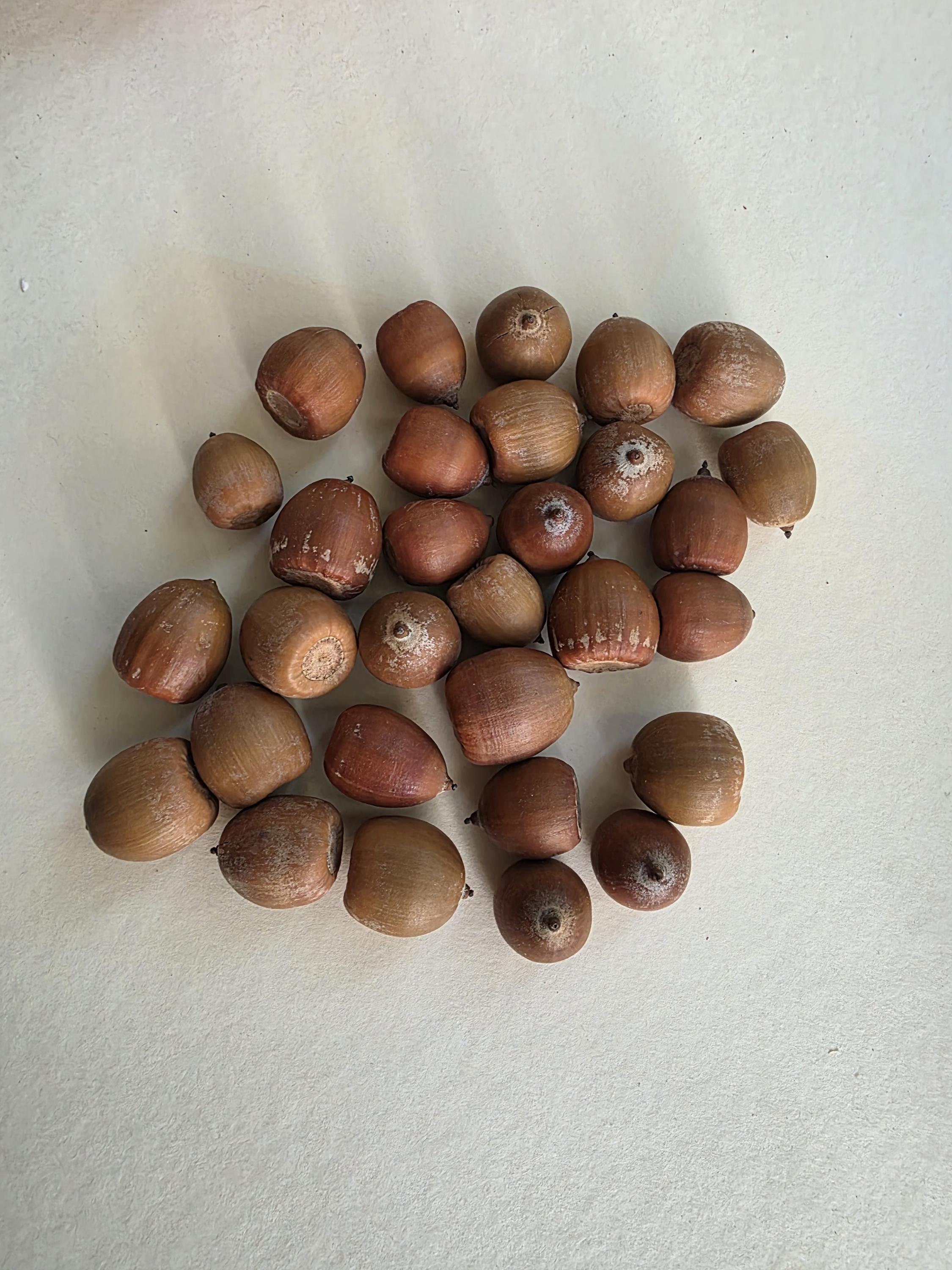 Icono De La Línea De Especias Clove Ilustración del Vector - Ilustración de  editable, sencillo: 210948594, image size:2250x3000