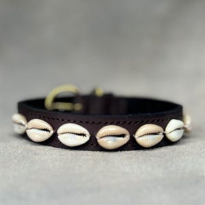 Puede incluir: Un collar de cuero marrón oscuro adornado con conchas de color crema. El collar tiene una hebilla dorada y está diseñado para una mascota. Las conchas están espaciadas uniformemente a lo largo del exterior del collar.