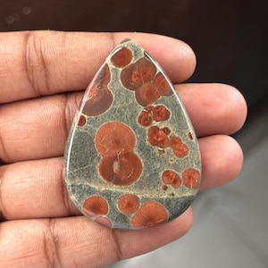 May include: A teardrop-shaped gemstone with a grey base and reddish-brown circular patterns. The polished stone is held in a hand, showcasing its natural colours and unique markings. This gemstone is ideal for jewelry making or collecting.