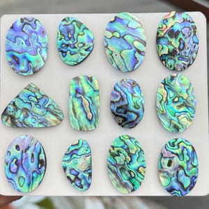 May include: A collection of twelve polished abalone shell cabochons arranged on a white display board. Each piece features a unique, iridescent pattern with vibrant swirls of blue, green, purple, and teal colors in various geometric shapes.