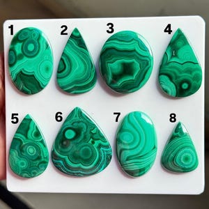 May include: Eight polished malachite cabochons arranged on a white display board, numbered one through eight. The stones feature distinct green banded and circular patterns in various shapes, including ovals and teardrops, with smooth surfaces.