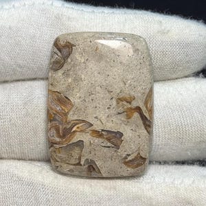 Puede incluir: Una piedra preciosa rectangular con esquinas redondeadas. La piedra tiene un color base gris claro con patrones marrones y beige. La superficie es lisa y pulida, reflejando la luz. La apariencia general es natural y terrosa.