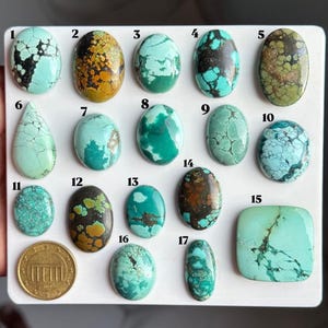 May include: A collection of seventeen polished turquoise cabochons in various shapes and shades of blue and green, featuring unique matrix patterns. Each stone is numbered from one to seventeen, and a gold-coloured coin is included for scale.
