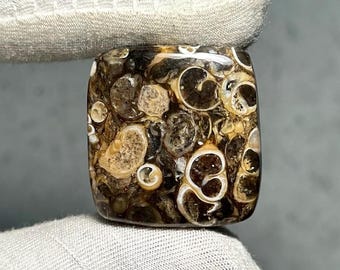 Natürlicher Turritella Achat Cabochon: Polierter Edelstein [39.80ct]