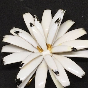 Lovely Vintage Hattie Carnegie Cream & Black Tipped Mum Floral Brooch