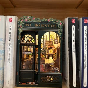 Bookshop Diorama DIY Book Nook Kit Owl , Bookstore bookshelf insert— A Magical  Miniature Corner