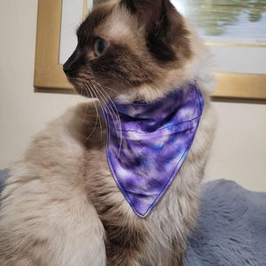 Handmade Over-the-Collar Bandana XS