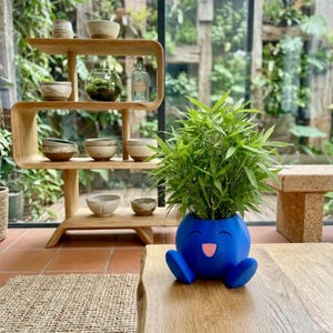 Può includere: Un vaso blu brillante e arrotondato con una faccia sorridente e due piccoli piedi, contenente una rigogliosa pianta di bambù verde. Il vaso poggia su una superficie di legno davanti a uno scaffale curvo in legno con varie ciotole in ceramica.