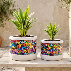 Può includere: Due vasi cilindrici con bordi e basi bianche, dotati di sezioni centrali trasparenti riempite di piccoli sassolini decorativi multicolori. Ogni vaso contiene una pianta verde con foglie appuntite e variegate in terriccio scuro.
