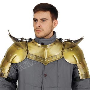 May include: Gold-colored shoulder armor with riveted details and pointed shoulder guards. The armor is worn over a gray garment. The design is reminiscent of medieval or fantasy attire.