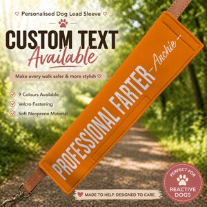 May include: An orange dog lead sleeve with the text "PROFESSIONAL FARTER - Archie" in white. The sleeve has a brown leather strap and a metal clasp. The text "CUSTOM TEXT Available" is also visible.