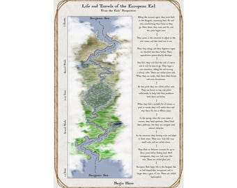 Eel Life Cycle Map