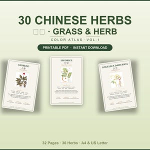 Peut inclure: Un PDF imprimable numérique intitulé 30 Chinese Herbs Grass & Herb Color Atlas Vol. 1. L'image présente trois fiches informatives avec des illustrations botaniques de Ginseng, Réglisse et Angelica Dahurica avec du texte.