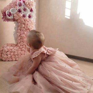 First Birthday Dress, Baby Girl dress Special Occasion, Birthday Dress Girls Blush Dress, Baby Girl Party Dress, 1st Birthday Dress
