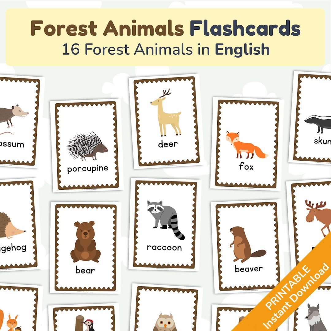 Forest Animals Flashcards: Kids English Vocabulary Cards (PDF Download ...