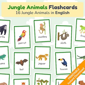 Dschungeltiere Karteikarten: Englische Kinder Lernkarten (druckbare PDF)