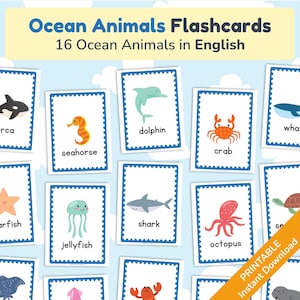 Meerestiere Karteikarten: Englische Kinder Lernkarten (druckbare PDF)