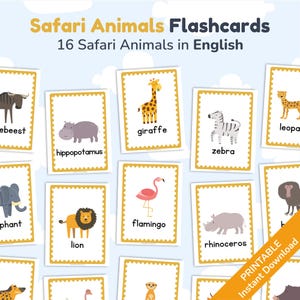 Safari Tiere Karteikarten: Englische Kinder Lernkarten (druckbare PDF)