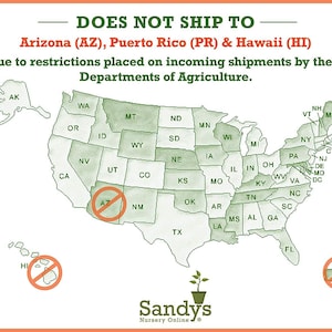 May include: A map of the United States with a green outline of each state. Arizona, Puerto Rico, and Hawaii are marked with a red circle and a diagonal line through them. The text "DOES NOT SHIP TO" is at the top of the image. The text "Arizona (AZ), Puerto Rico (PR) & Hawaii (HI) due to restrictions placed on incoming shipments by their Departments of Agriculture." is below the map. The text "Sandys Nursery Online" is at the bottom of the image.