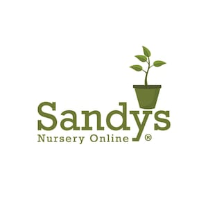 May include: A green plant in a brown pot with the text "Sandy's Nursery Online" below it.