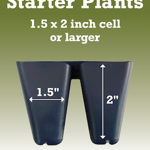 May include: Two black plastic plant pots, each measuring 1.5 inches wide by 2 inches tall. The pots are designed for starting plants and are labeled "2 inch Starter Plants 1.5 x 2 inch cell or larger".