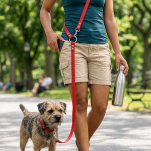 100% echtes Leder Hands Free Hundeleine und Halsband Set, Crossbody Taille Hundeleine, verstellbare Haustier-Laufleine, Lauftrainingsleine