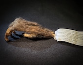 Monkey's Paw Talisman Replica - Brown