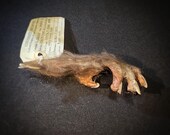 Monkey's Paw Talisman Replica - Brown