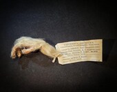 Monkey's Paw Talisman Replica - White