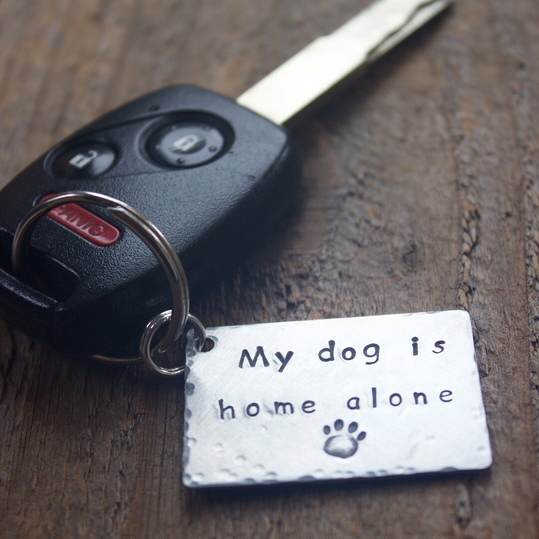 Pet Home Alone, Keychain, Emergency Contact, Pet ID, Please Contact, Dog Home Alone Tag, Dog Tag