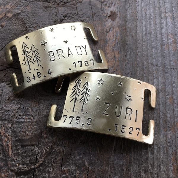 Etiqueta de perro, etiquetas de perro para perros, diapositiva de collar personalizado, etiqueta de silencio, etiqueta de identificación de mascotas, personalizado, estampado a mano, árboles, bosque, etiqueta de nombre