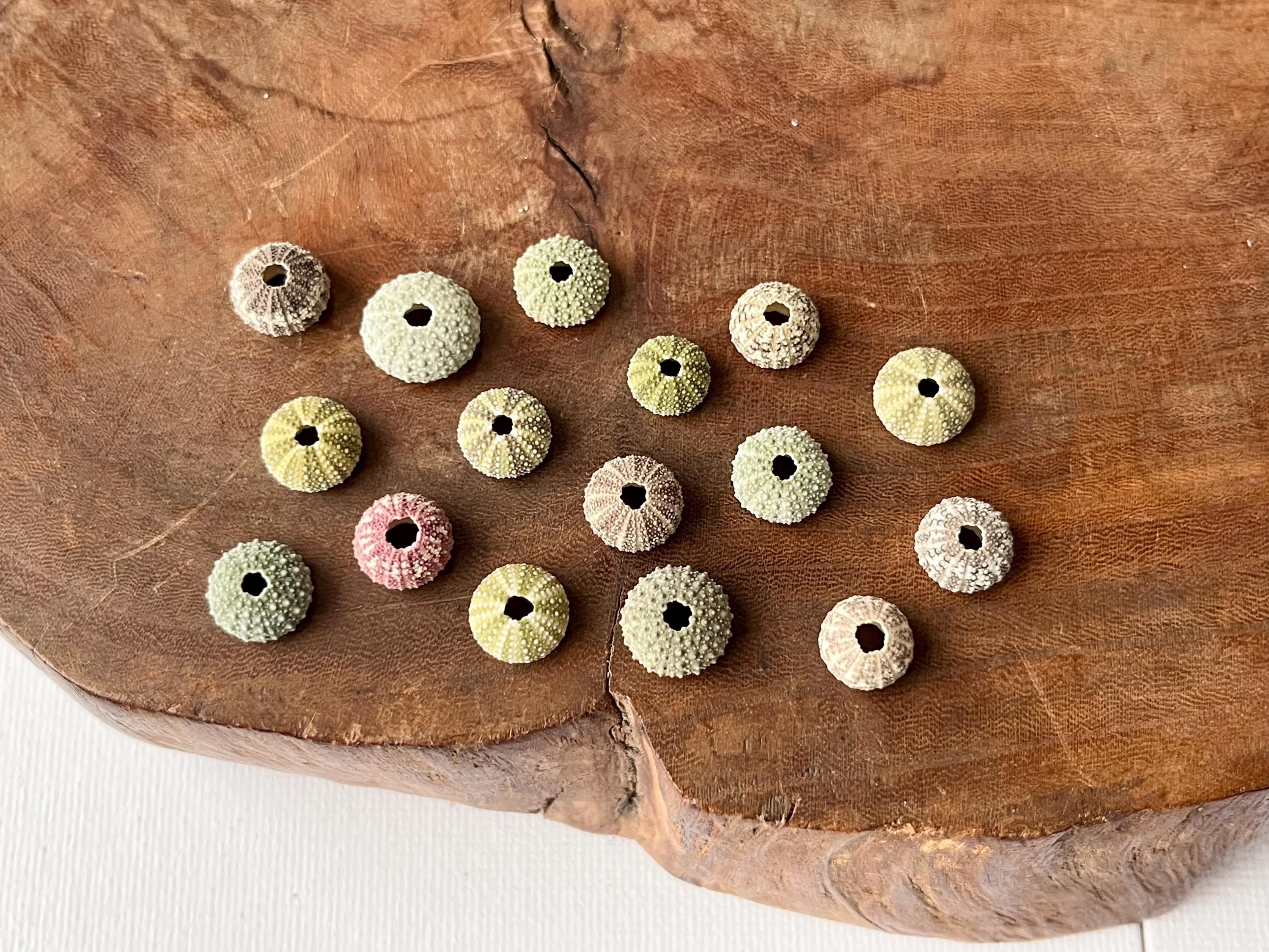 seagiftjp - Etsy 日本