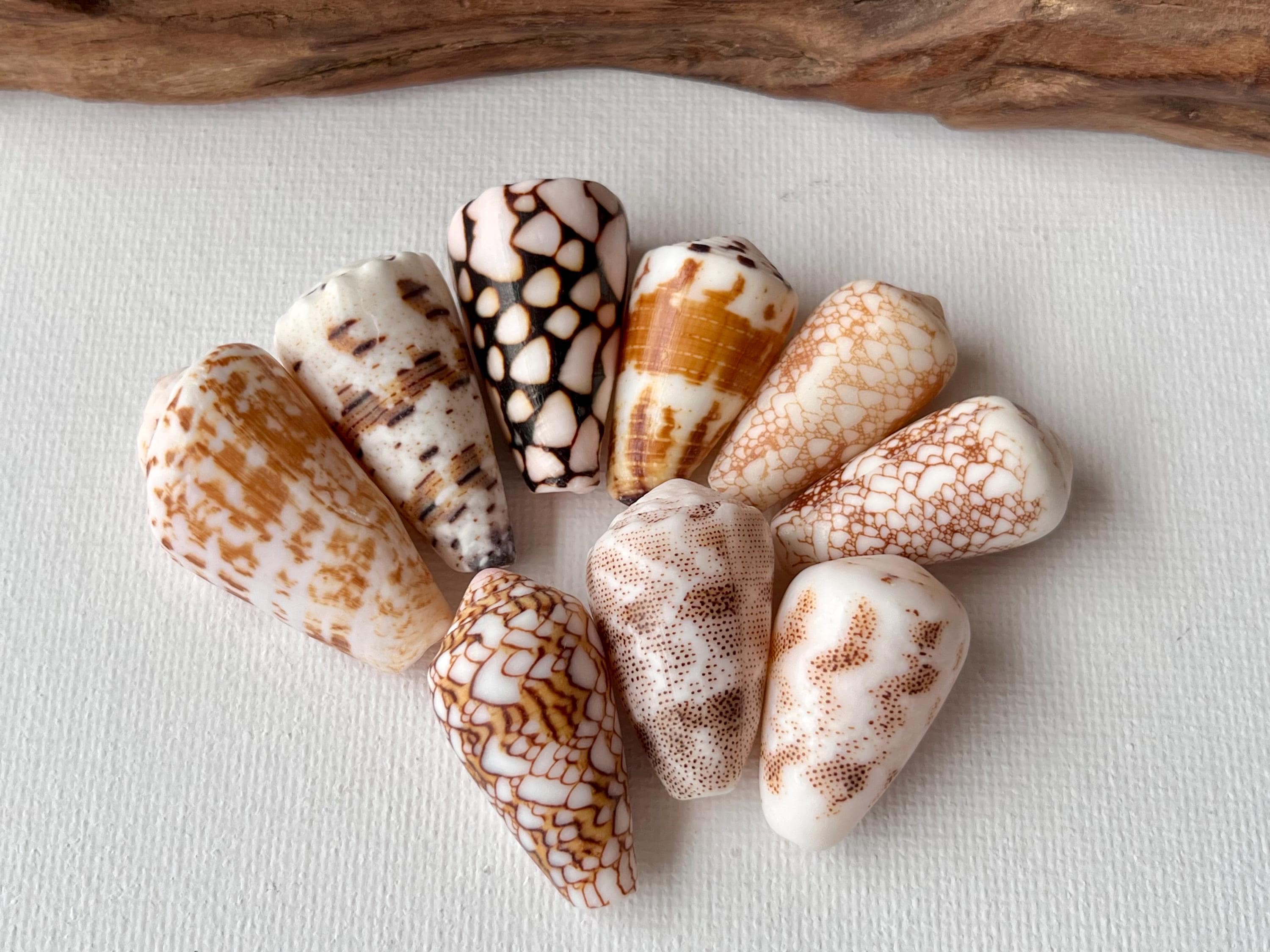 seagiftjp - Etsy 日本