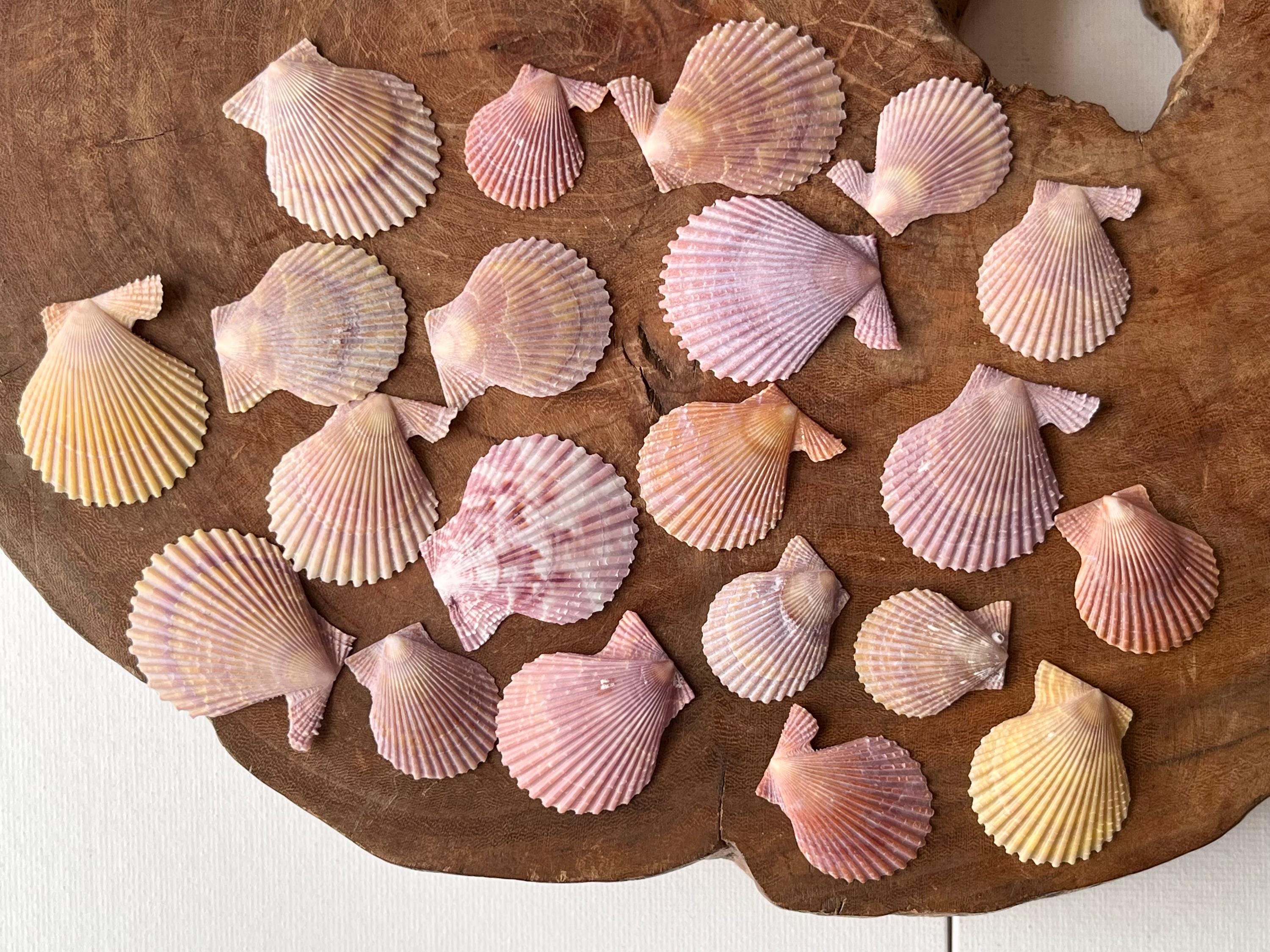 seagiftjp - Etsy 日本