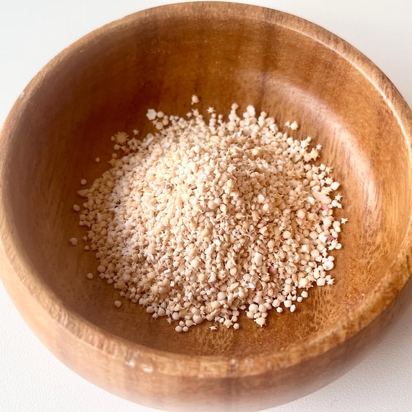 Okinawa star sand 20g /Natural Japanese Beach Find  k1