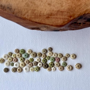 Super Tiny Sea Urchin / Genuine Japanese Find / Natural / Beachcombed Collectible / Coastal Decor b56