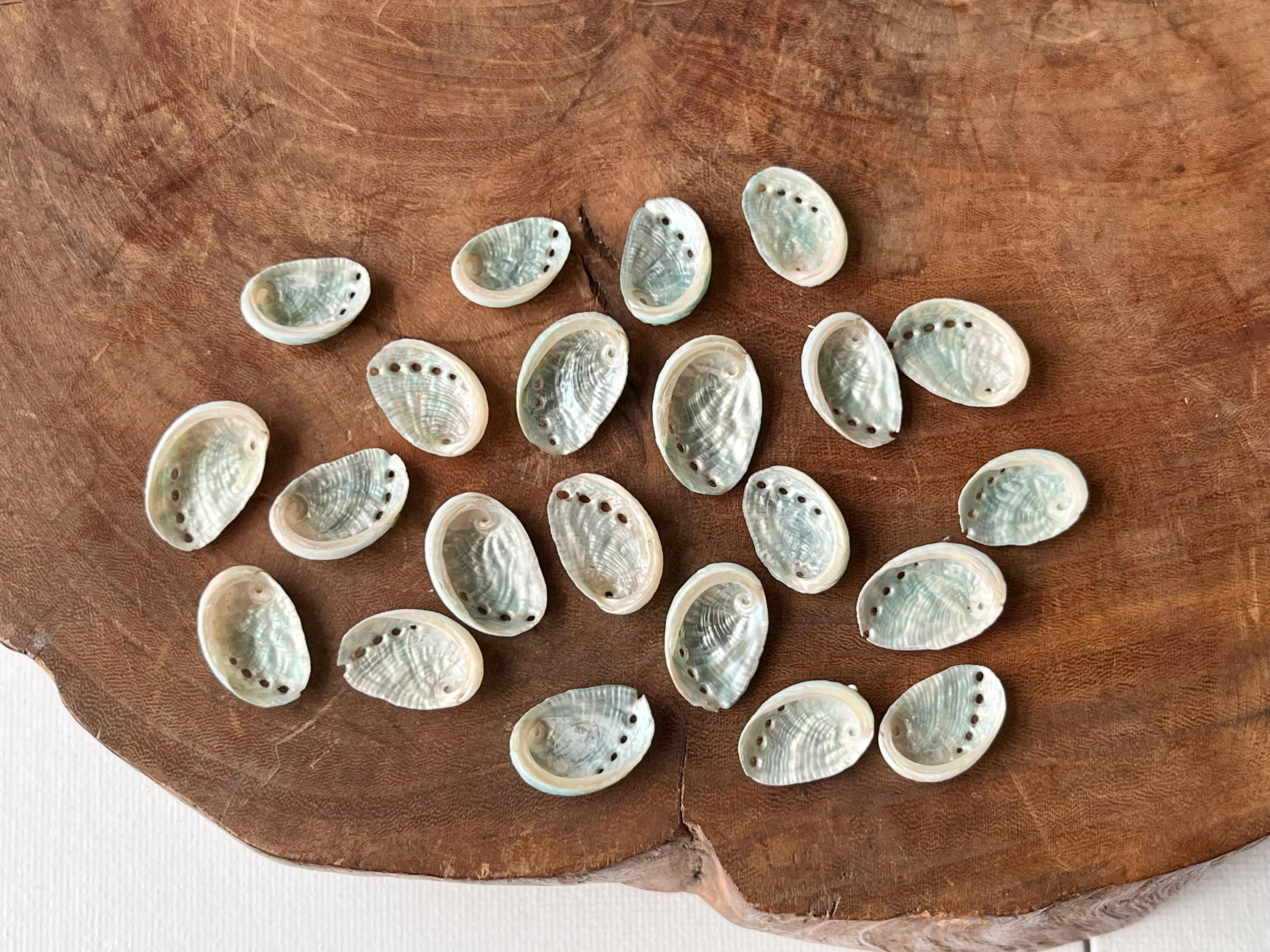 セイシェル諸島 切手 海亀 1979年製 激レアです セイシェル諸島 切手 海亀 1979年製 激レアです