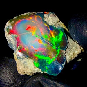 May include: A raw opal gemstone featuring a translucent, milky white base with vibrant flashes of neon green, bright red, and orange play-of-color. The stone has an irregular, jagged shape with a rough, textured, light-colored rock matrix edge.